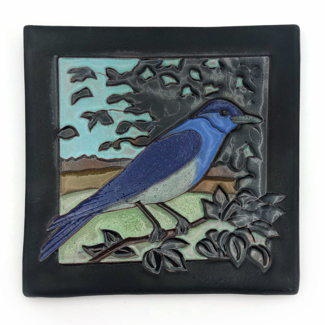 Tile, Mountain Bluebird