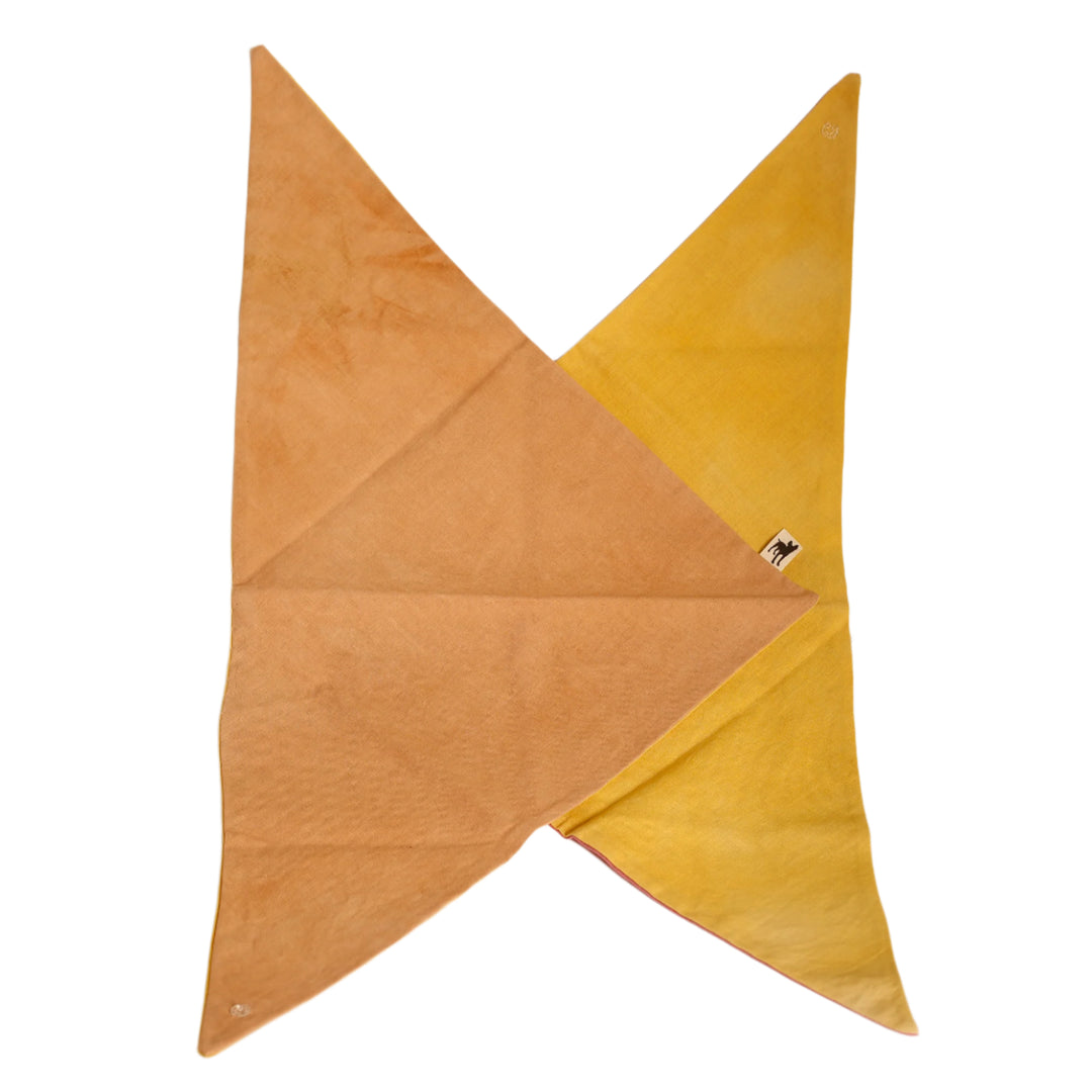 Bandana: LG
tan, yellow