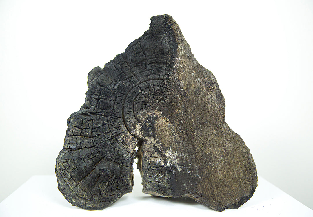 Burnt Slab