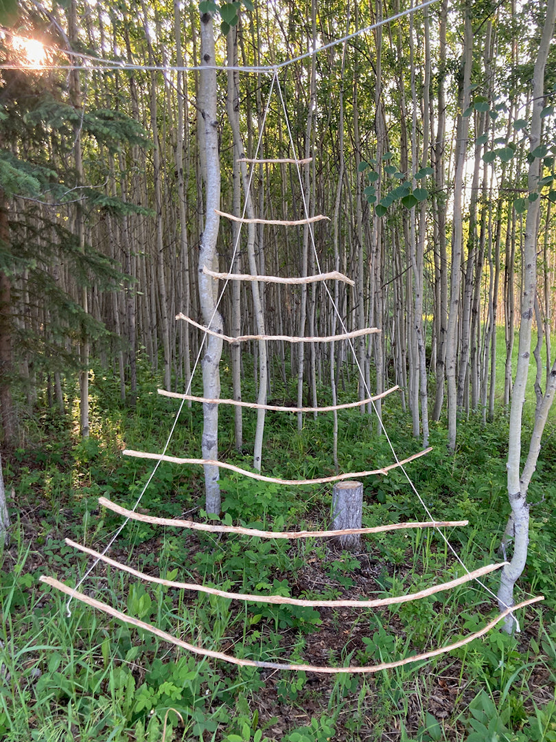 Path For a Window