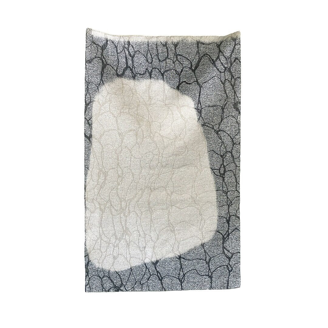 Tissue/lake 2