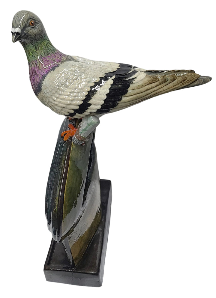 Messenger Pigeon's Time