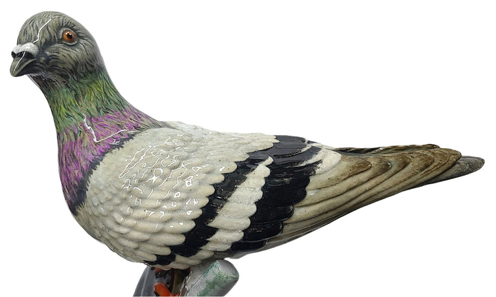 Messenger Pigeon's Time