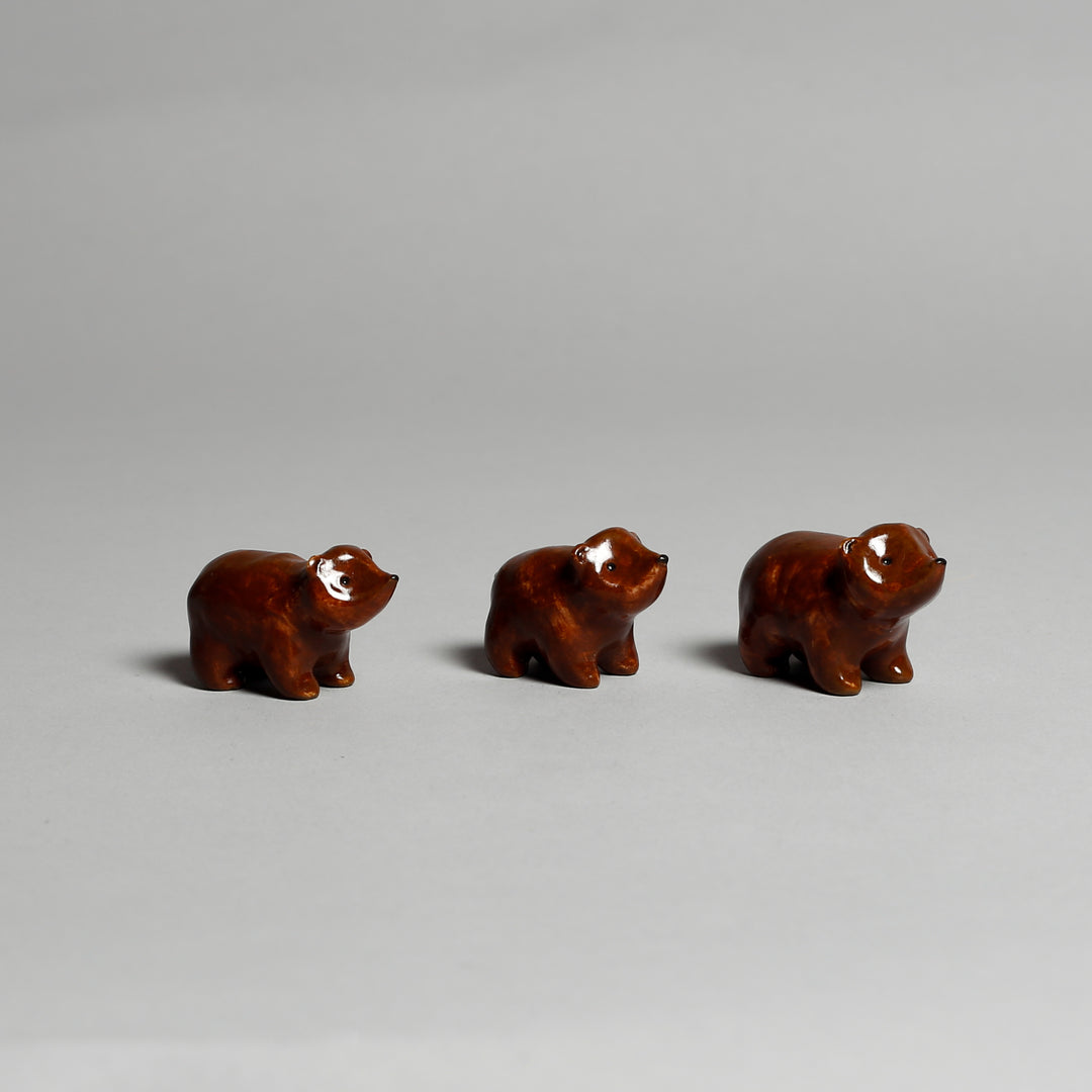 Bears