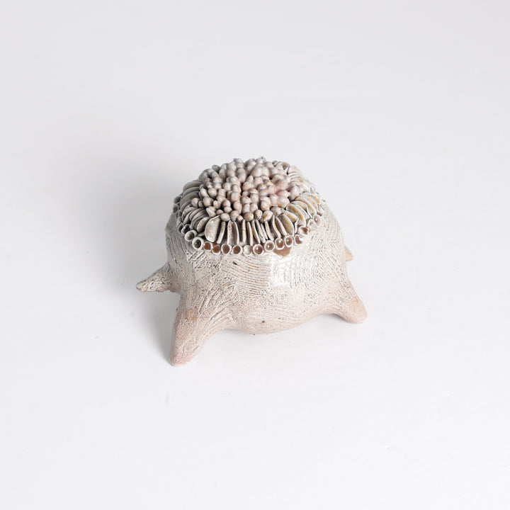 Lichen "Frog" Sculpture