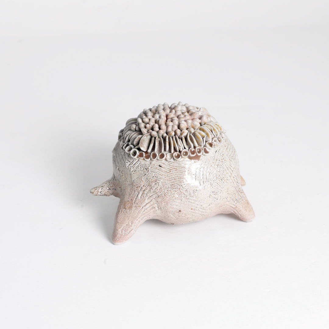 Lichen "Frog" Sculpture