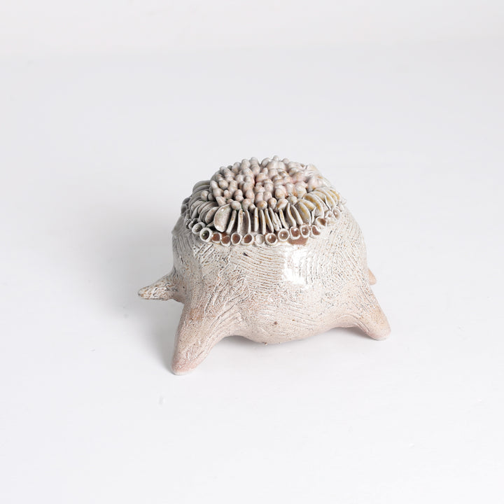 Lichen "Frog" Sculpture