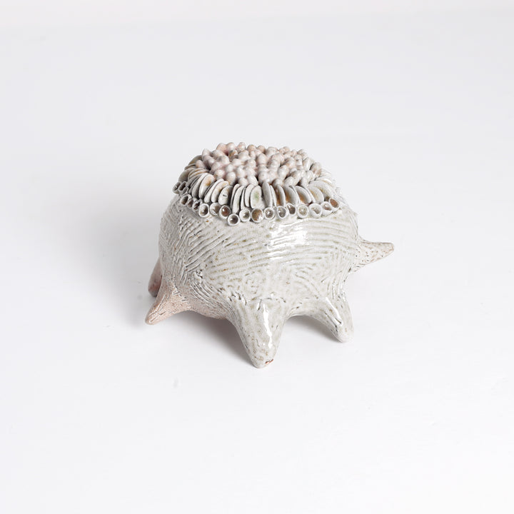 Lichen "Frog" Sculpture