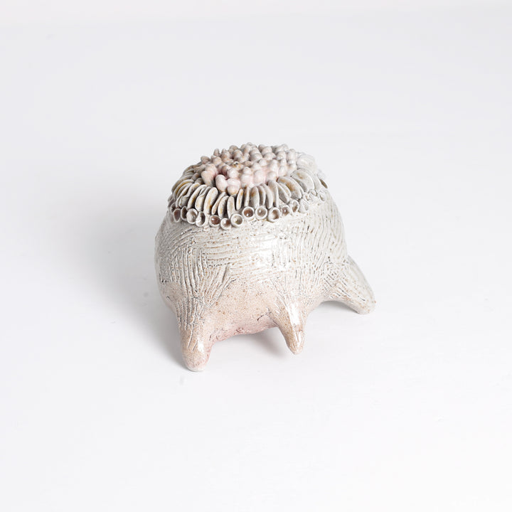 Lichen "Frog" Sculpture