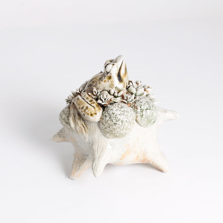 Frog Sculpture (on "frog")