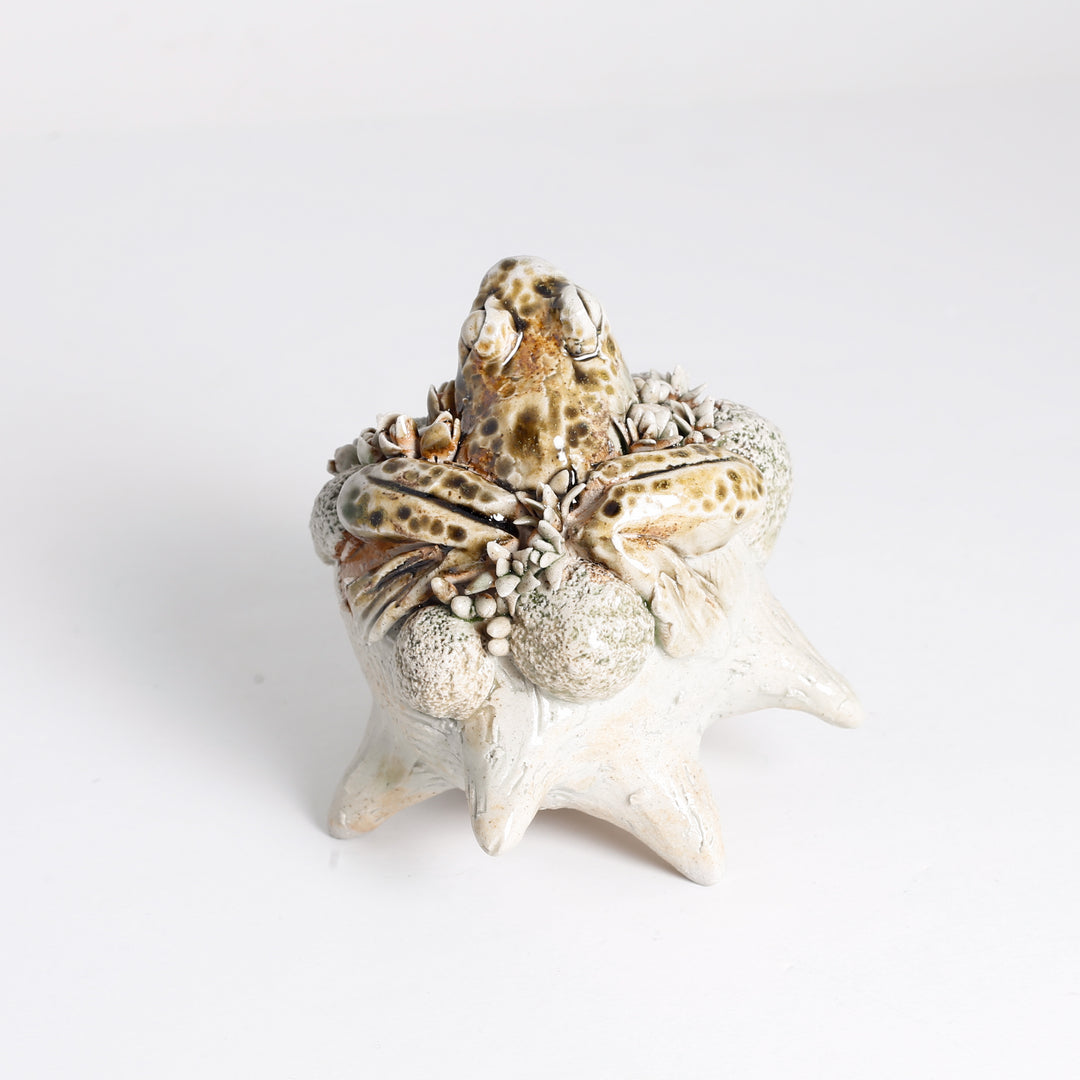 Frog Sculpture (on "frog")