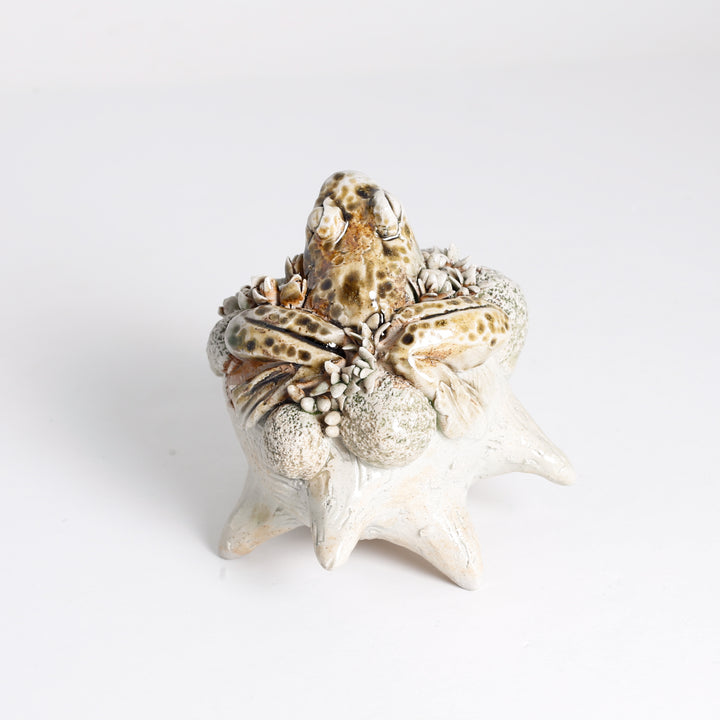 Frog Sculpture (on "frog")