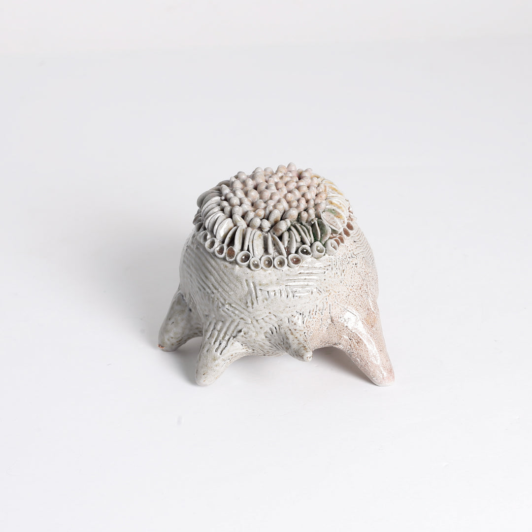 Lichen "Frog" Sculpture