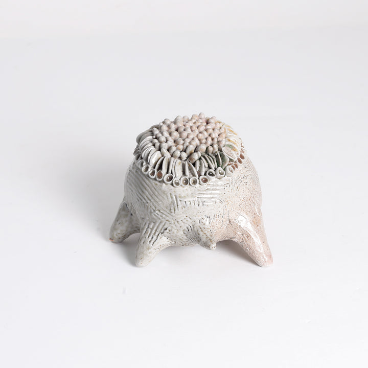 Lichen "Frog" Sculpture