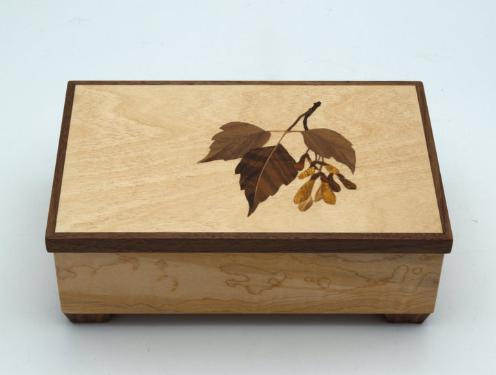 Box of Elder Maple