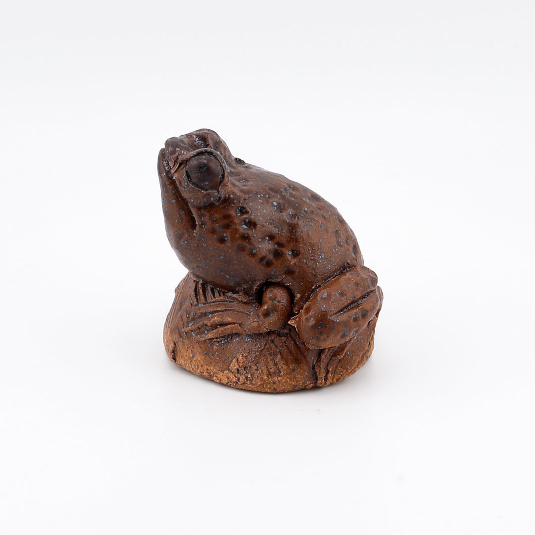 Small Frog Sculpture