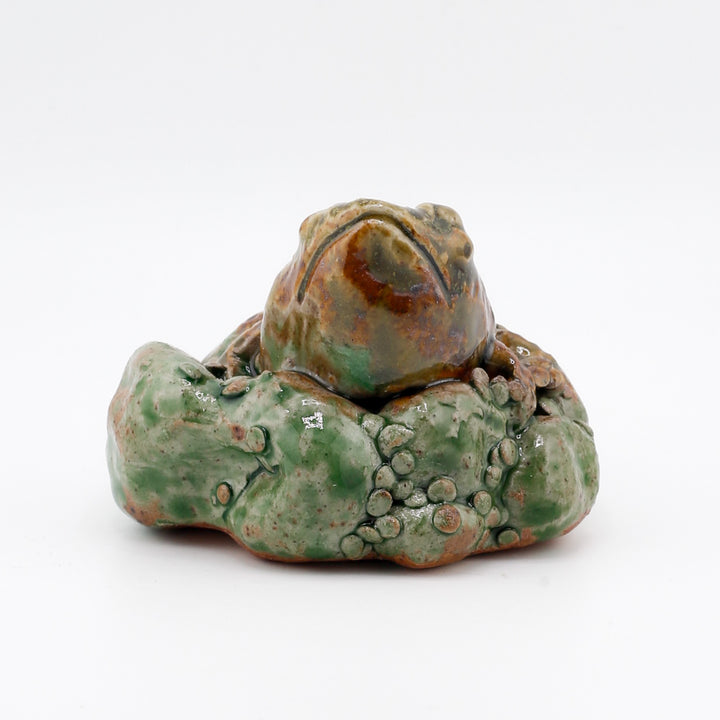 Frog On Moss/Algae Sculpture
