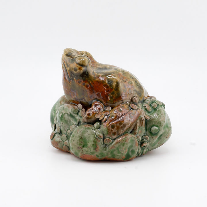 Frog On Moss/Algae Sculpture