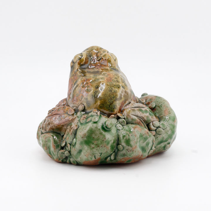 Frog On Moss/Algae Sculpture