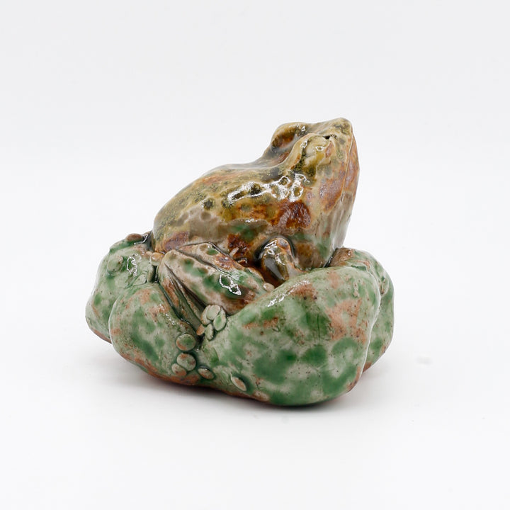 Frog On Moss/Algae Sculpture