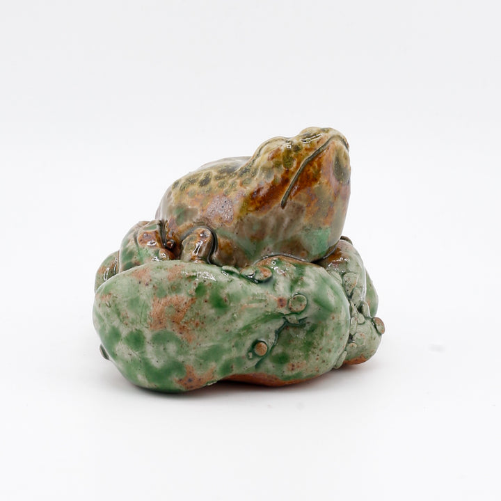 Frog On Moss/Algae Sculpture