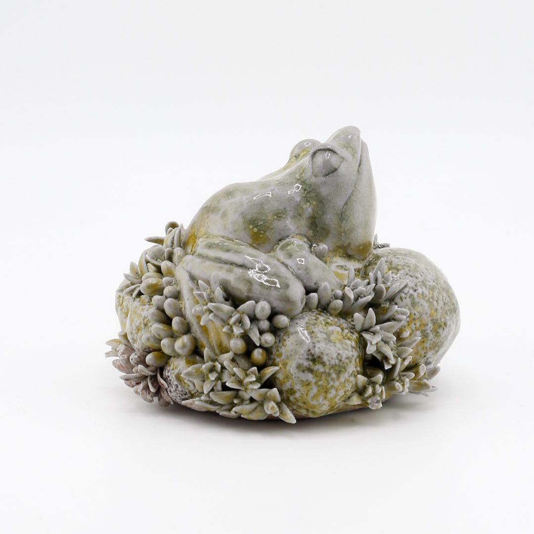 Frog On Moss/Algae Sculpture
