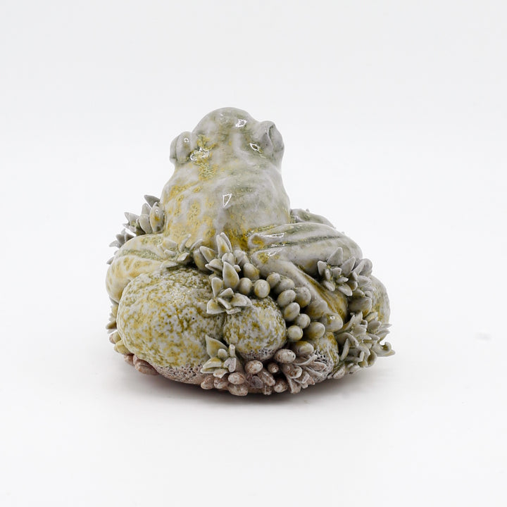 Frog On Moss/Algae Sculpture