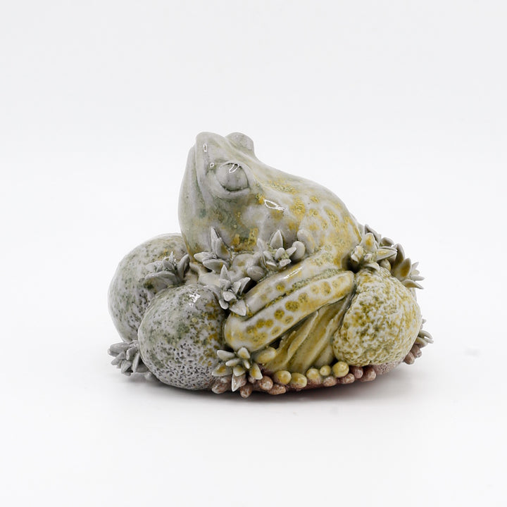 Frog On Moss/Algae Sculpture