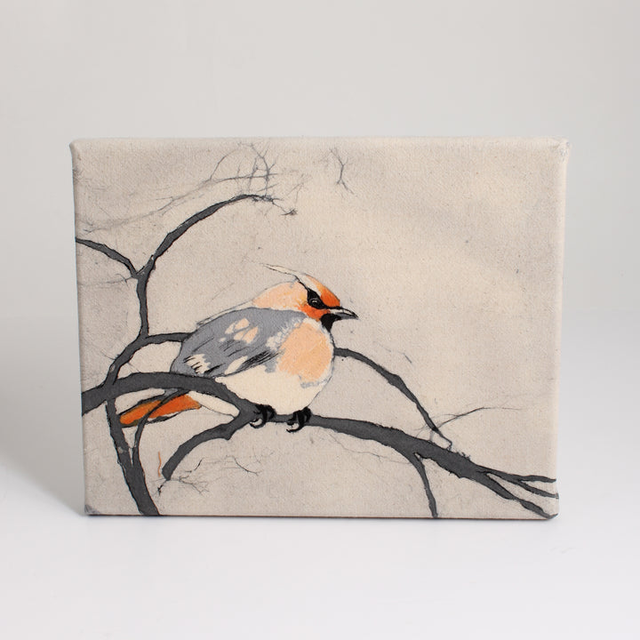 White Crowned Sparrow