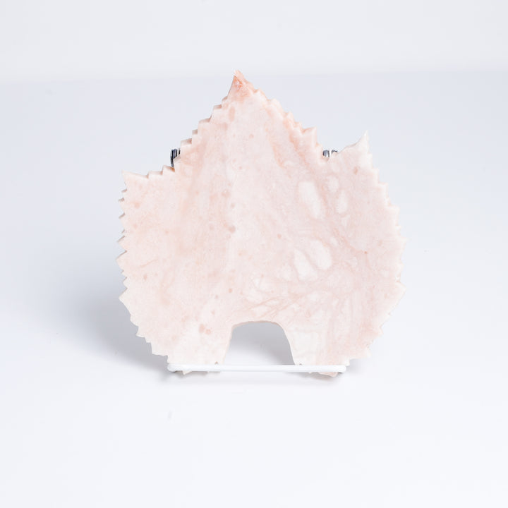 Dish, grape leaf