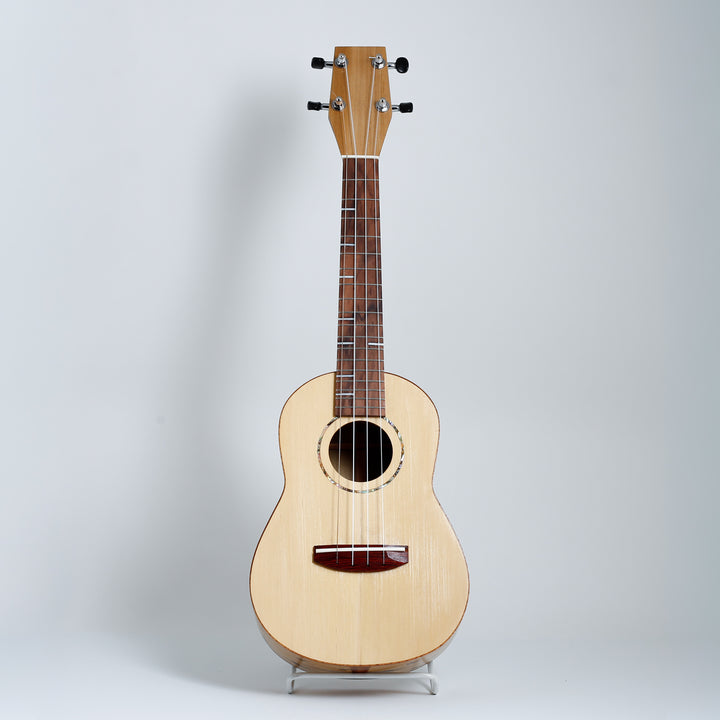 Ant Concert Ukulele