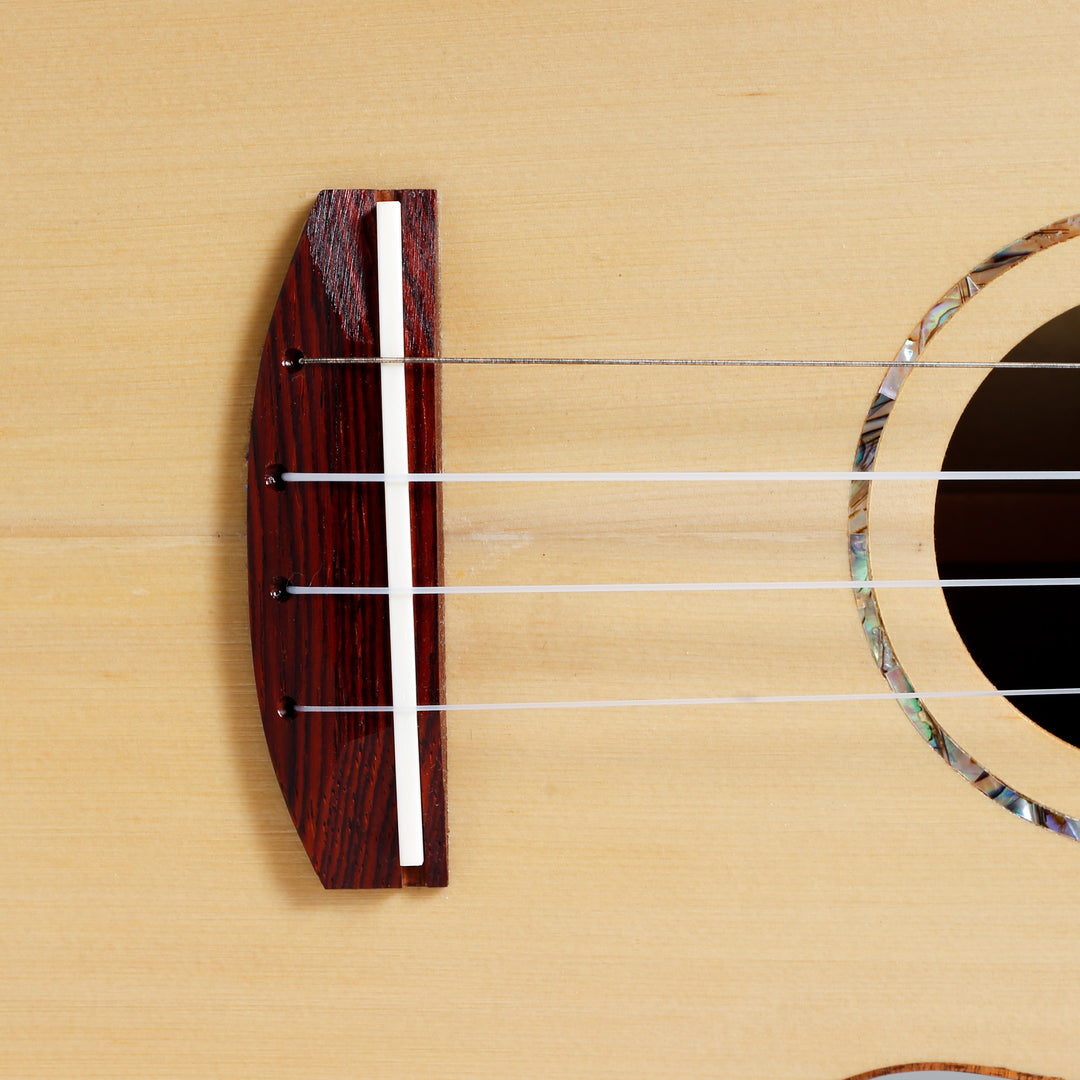 Ant Concert Ukulele