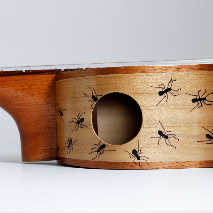 Ant Concert Ukulele