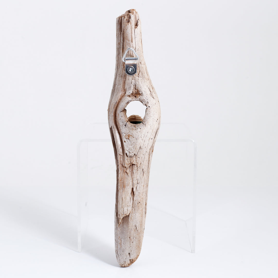 Pacific Rim 8 (Driftwood)