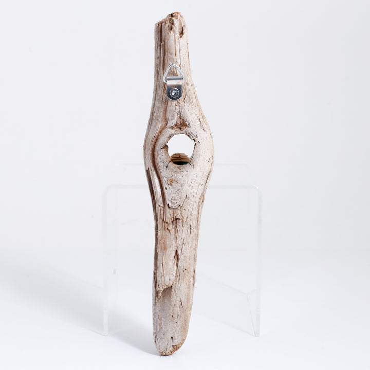 Pacific Rim 8 (Driftwood)