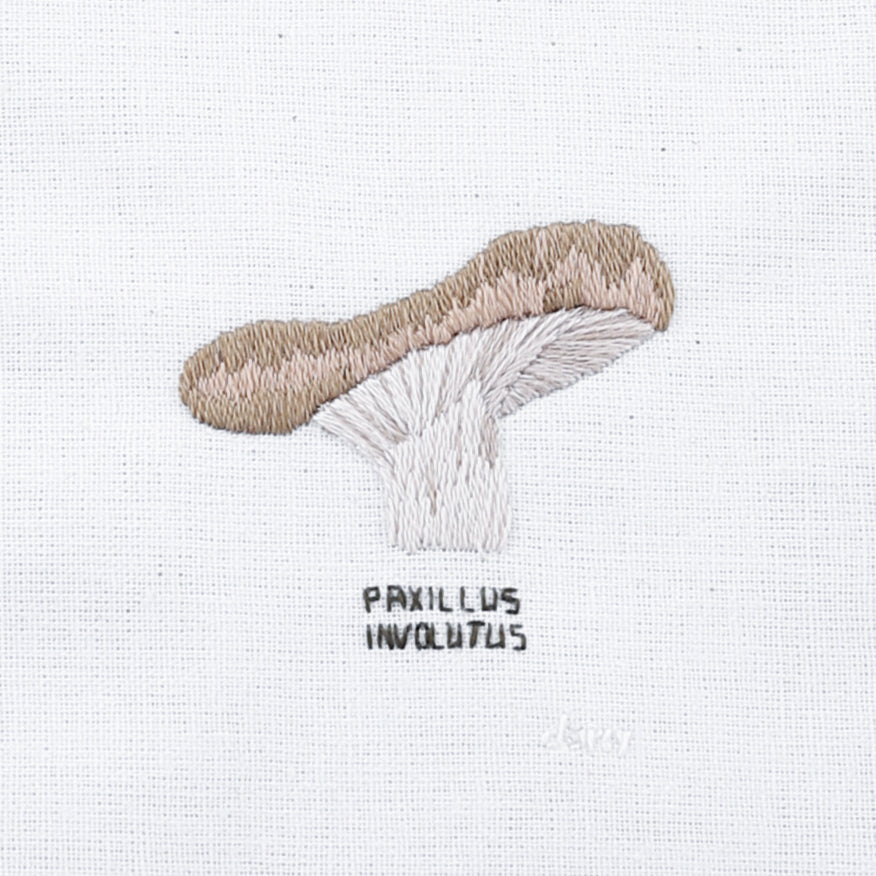 Mushroom, Paxillus Involutus