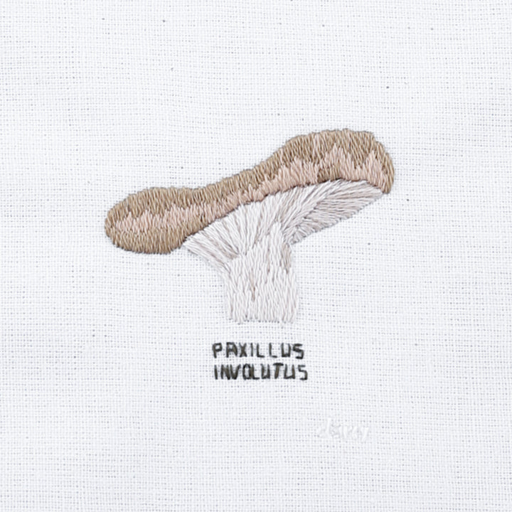 Mushroom, Paxillus Involutus