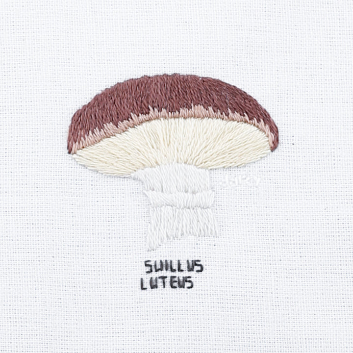 Mushroom, Suillus Luteus