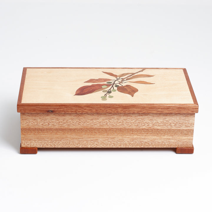 Shubert Meranti Box