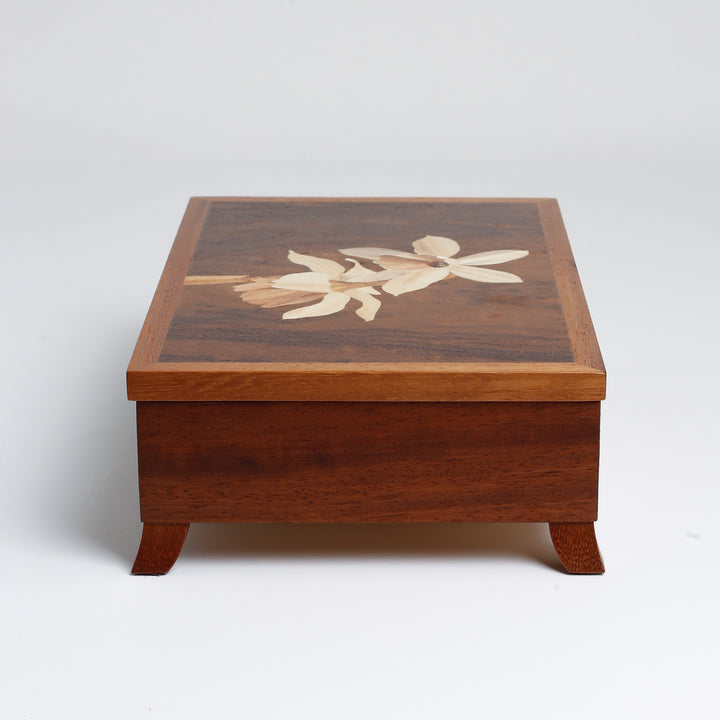 Paperwhite Iroko Box