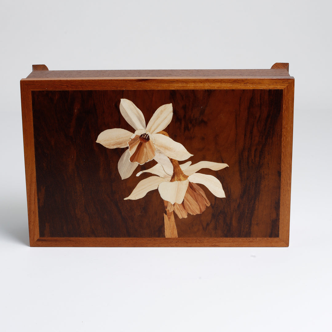 Paperwhite Iroko Box