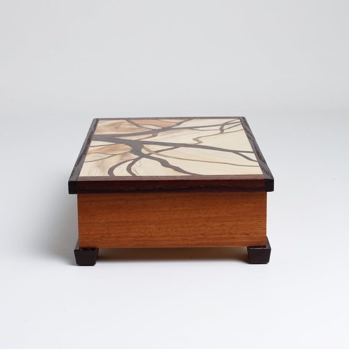 Synergy Iroko Box