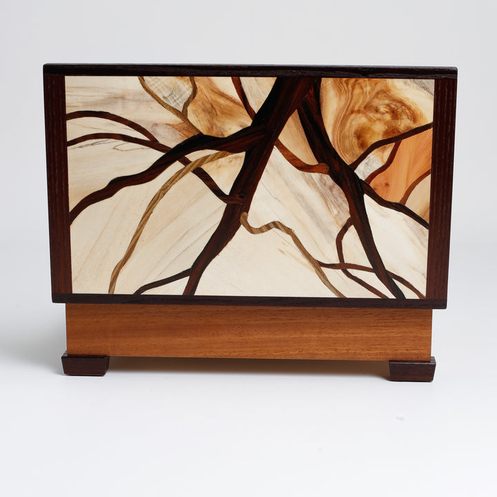 Synergy Iroko Box