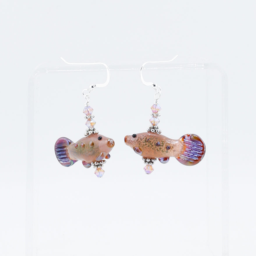 Earrings - Fancy Fish Earrings