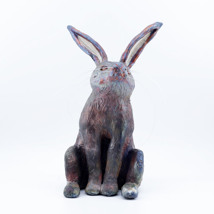 Sitting Rabbit