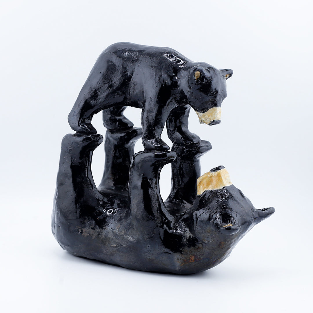 Two Black Bears