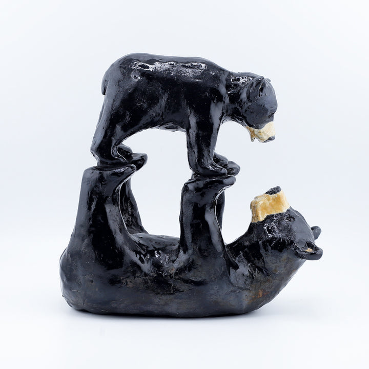 Two Black Bears