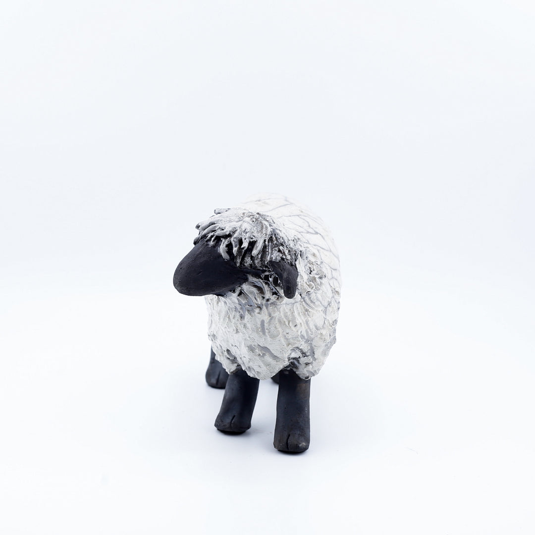 Sheep, Lying Down