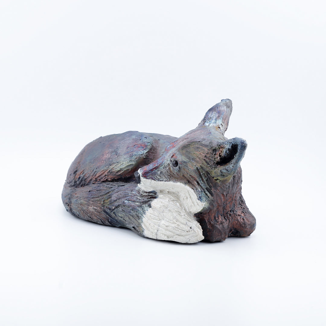 Fox, Lying Down