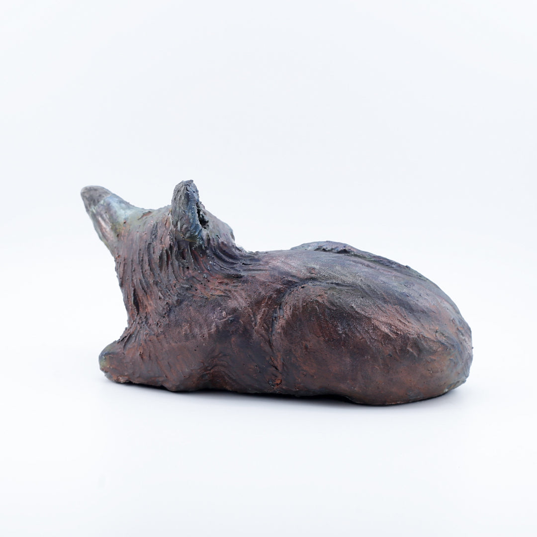 Fox, Lying Down